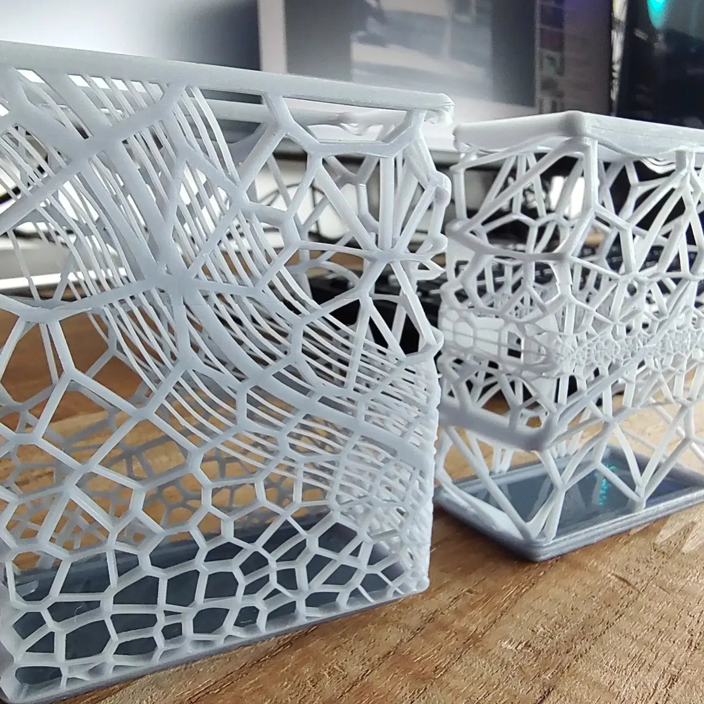 Box - Voronoi - Pencil Stand